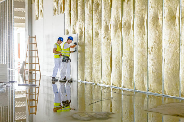 Types of Insulation We Offer in Fair Oaks, VA